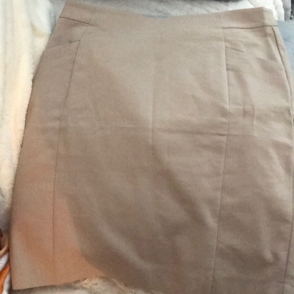 H&M Skirt